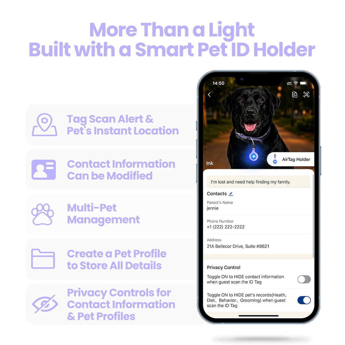 2-Pack USB-C LED Dog Safety Lights with QR Code ID