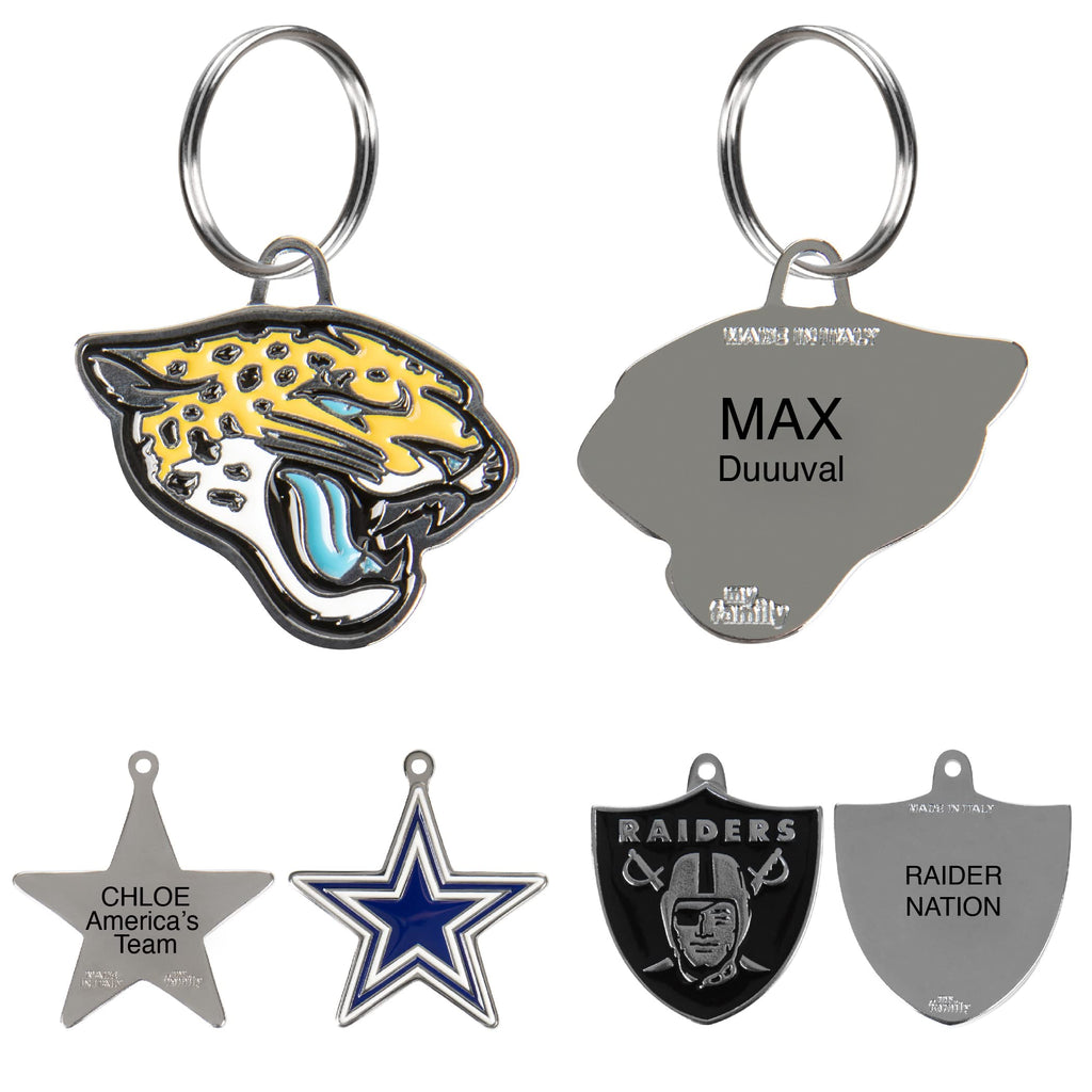 Personalized Pet ID Tag with Team Logo