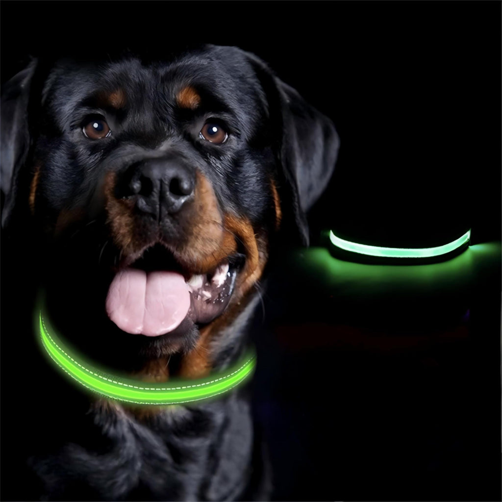 Rechargeable LED Heart Pet Collar