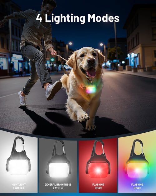 2-Pack Rechargeable Color-Changing Dog Collar Lights