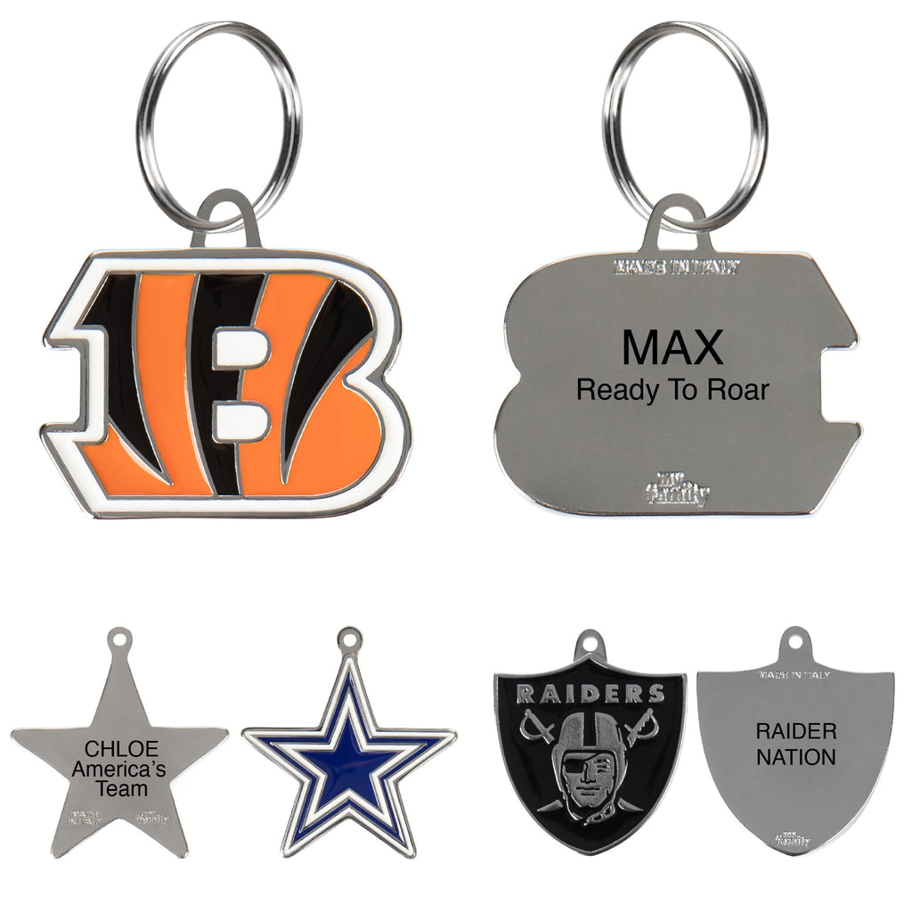 Personalized Pet ID Tag with Team Logo