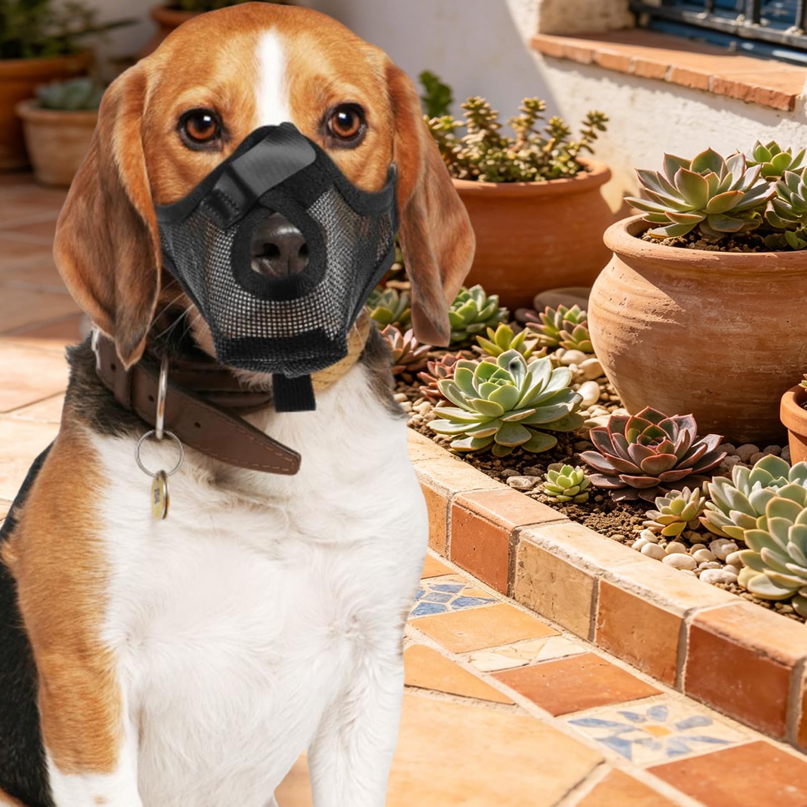 1 PC Comfortable Mesh Pet Mask Adjustable Safety Design Breathable Dog