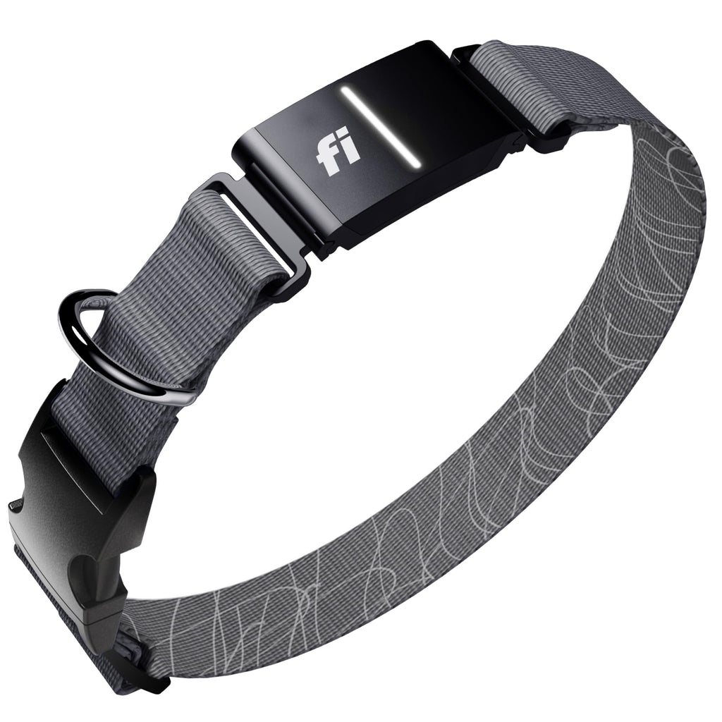 Smart GPS Dog Tracker Collar with Health & Escape Monitoring