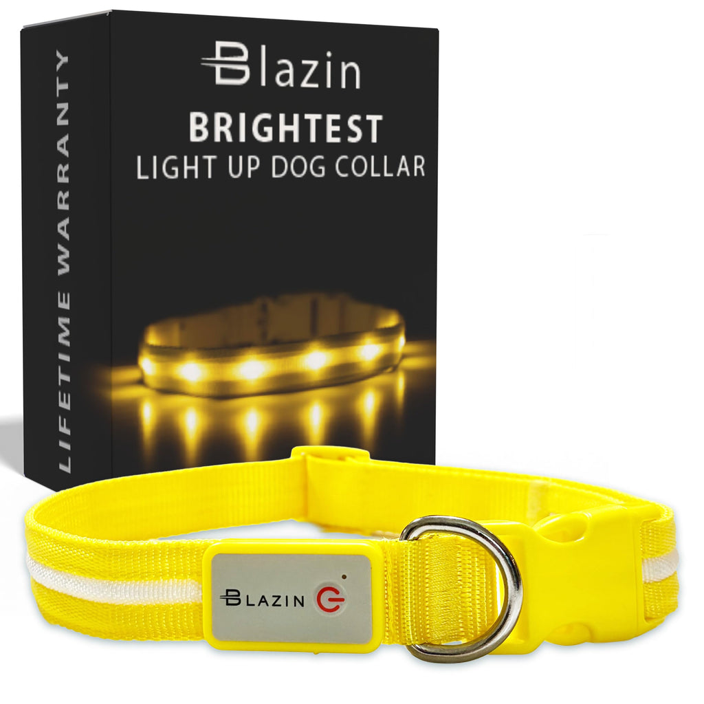 USB Rechargeable LED Light-Up Dog Collar