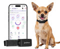 Smart Dog Health Monitoring Collar with GPS & Vital Tracking
