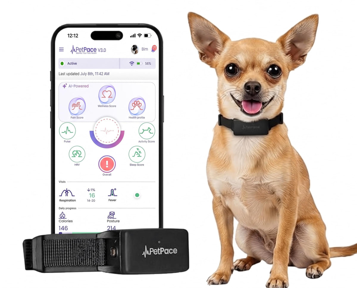 Smart Dog Health Monitoring Collar with GPS & Vital Tracking