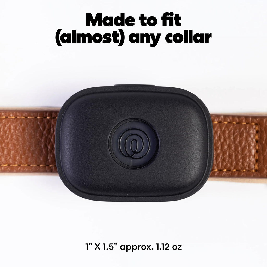 Pet GPS Tracker with Live Tracking & Escape Alerts