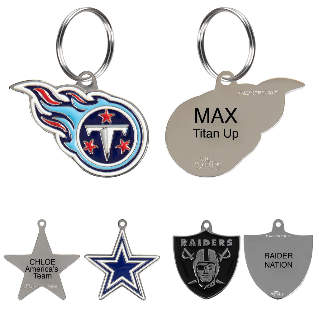 Personalized Pet ID Tag with Team Logo