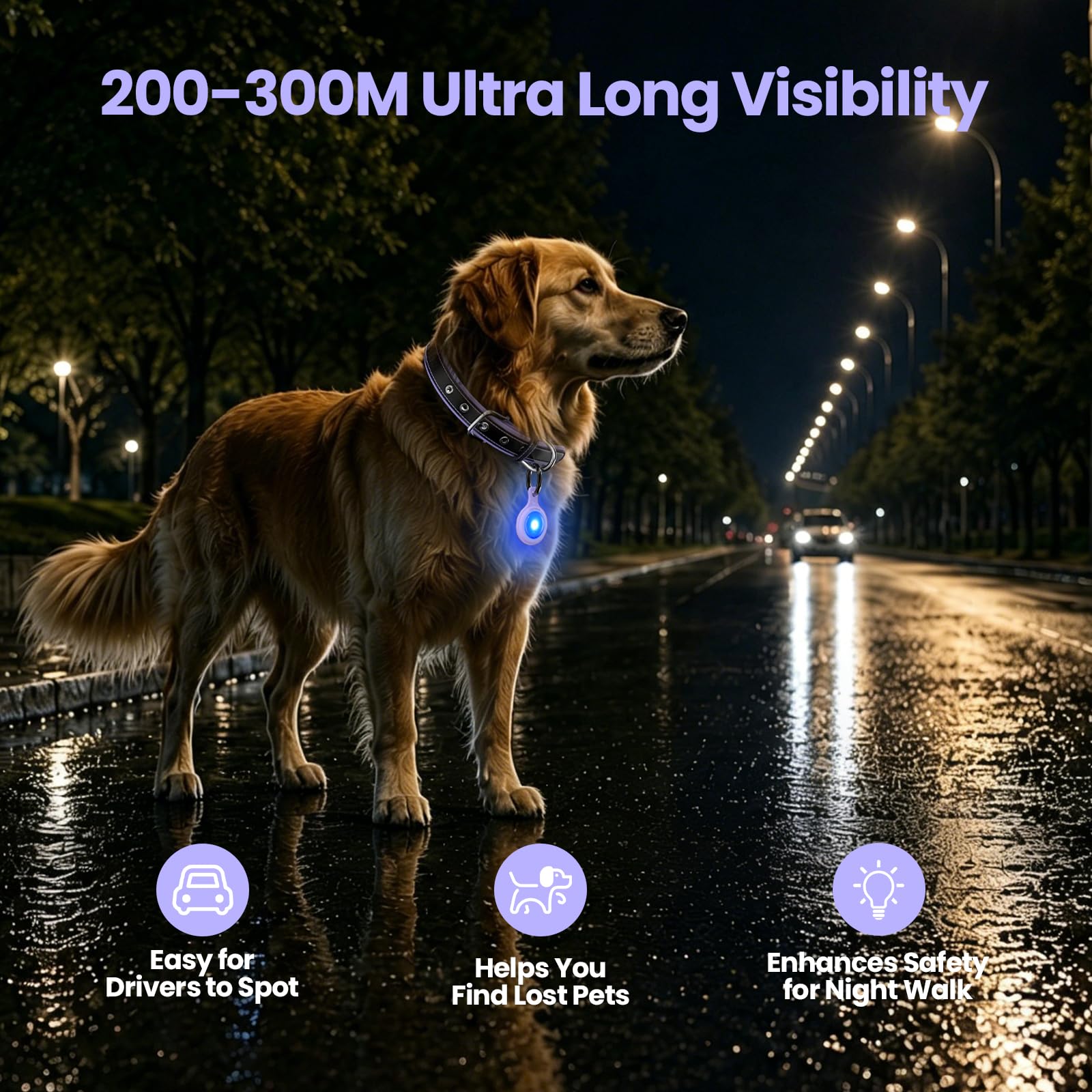 2-Pack USB-C LED Dog Safety Lights with QR Code ID