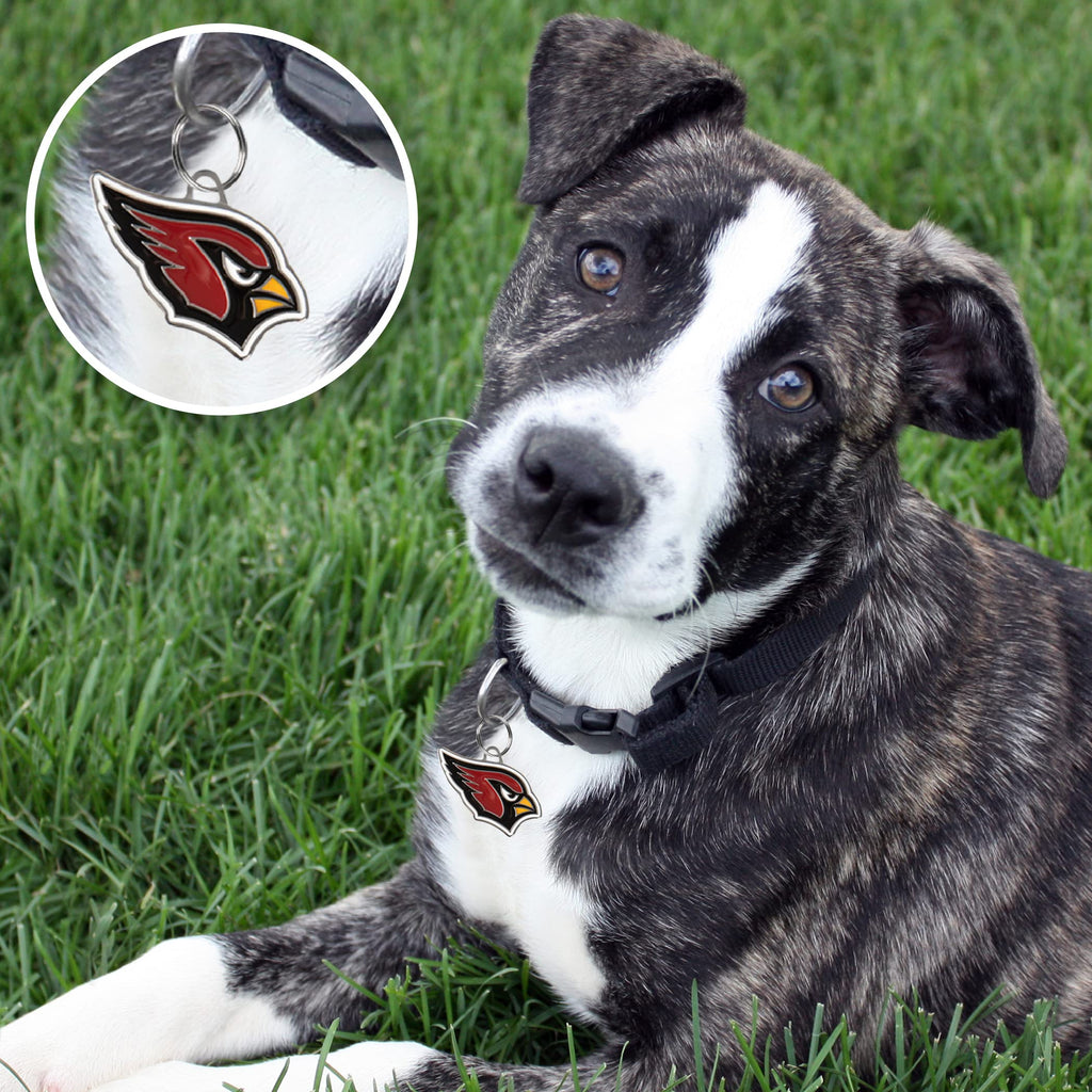 Personalized Pet ID Tag with Team Logo