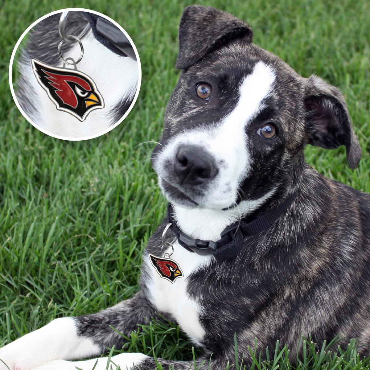 Personalized Pet ID Tag with Team Logo