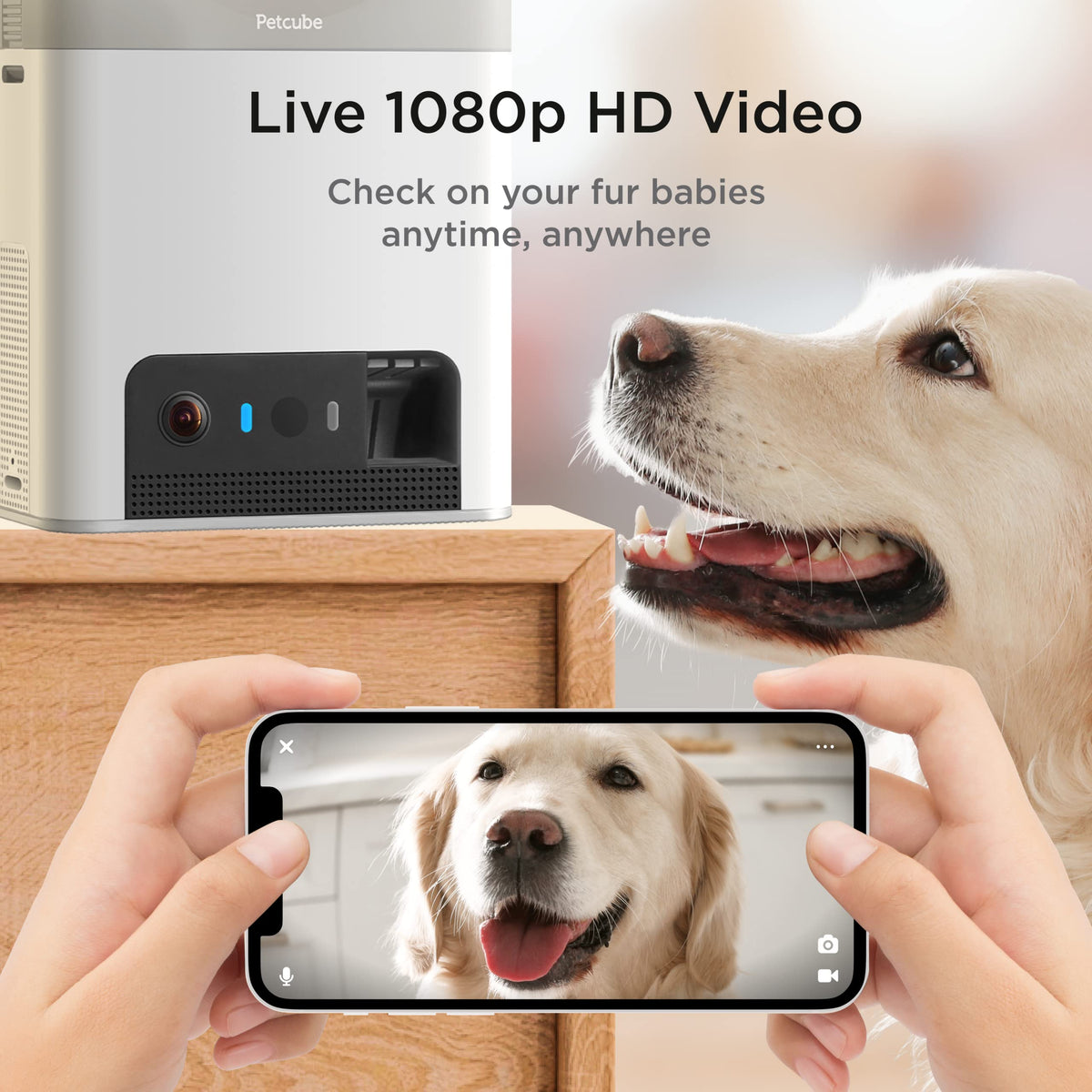 Smart Pet Camera with Treat Dispenser & Two-Way Audio