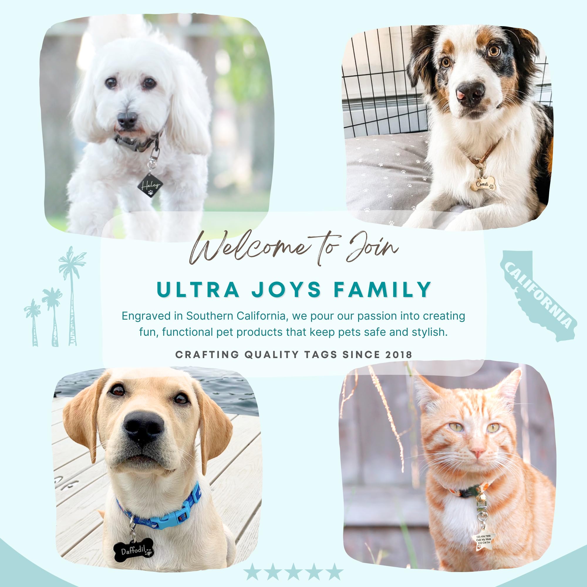 Ultra Joys Custom Personalized Bone Dog ID Tag for Pets