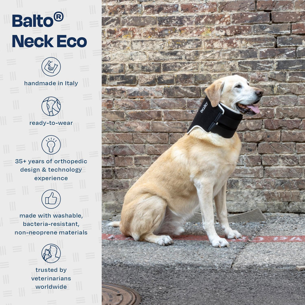 Soft Adjustable Dog Recovery Collar