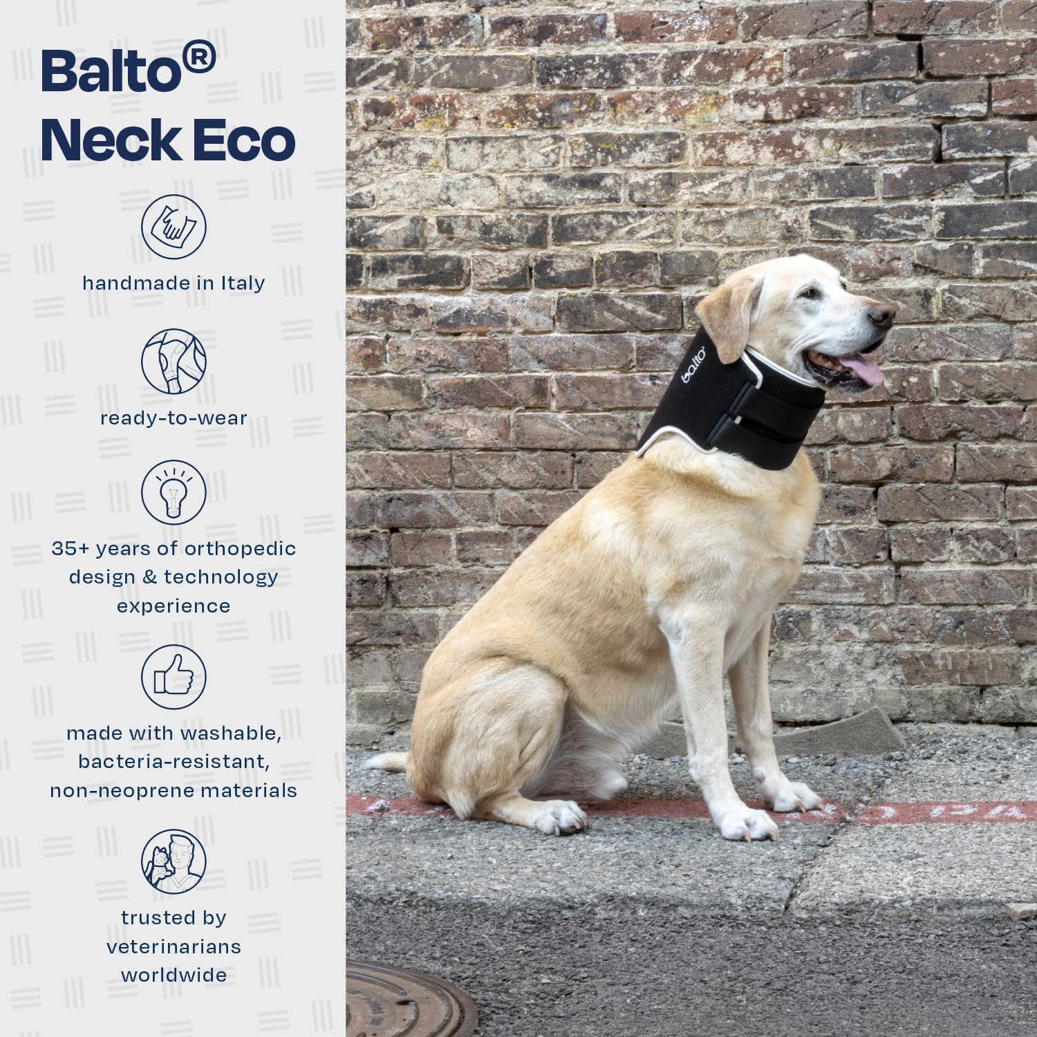 Soft Adjustable Dog Recovery Collar