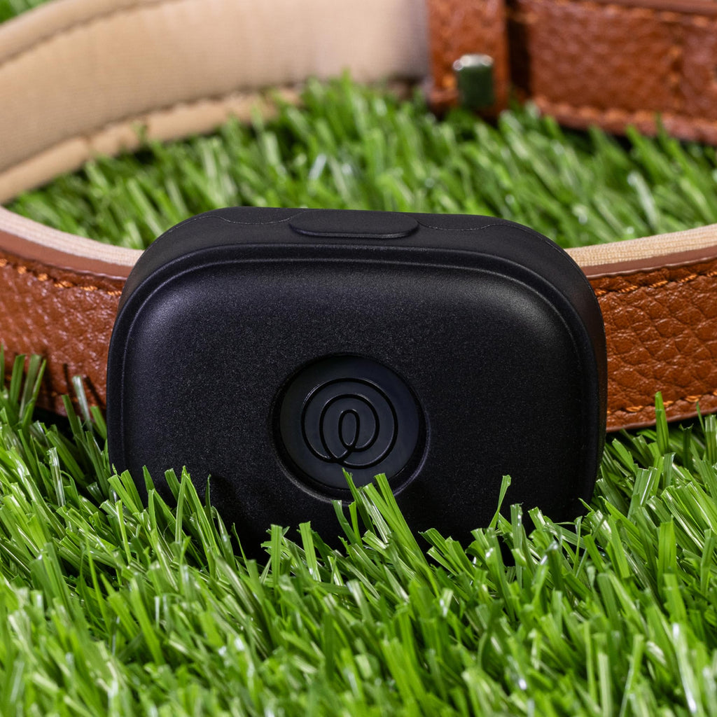 Pet GPS Tracker with Live Tracking & Escape Alerts
