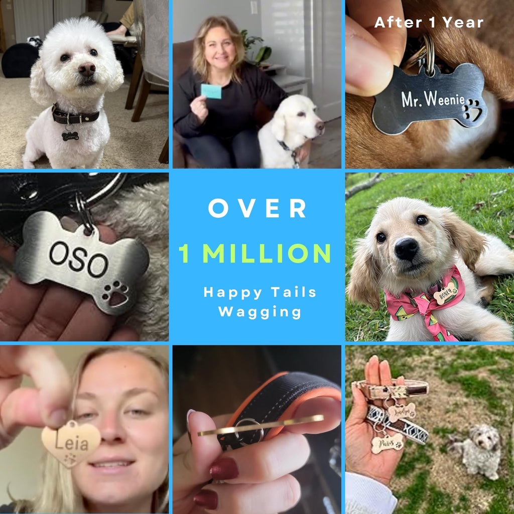 Ultra Joys Custom Personalized Bone Dog ID Tag for Pets