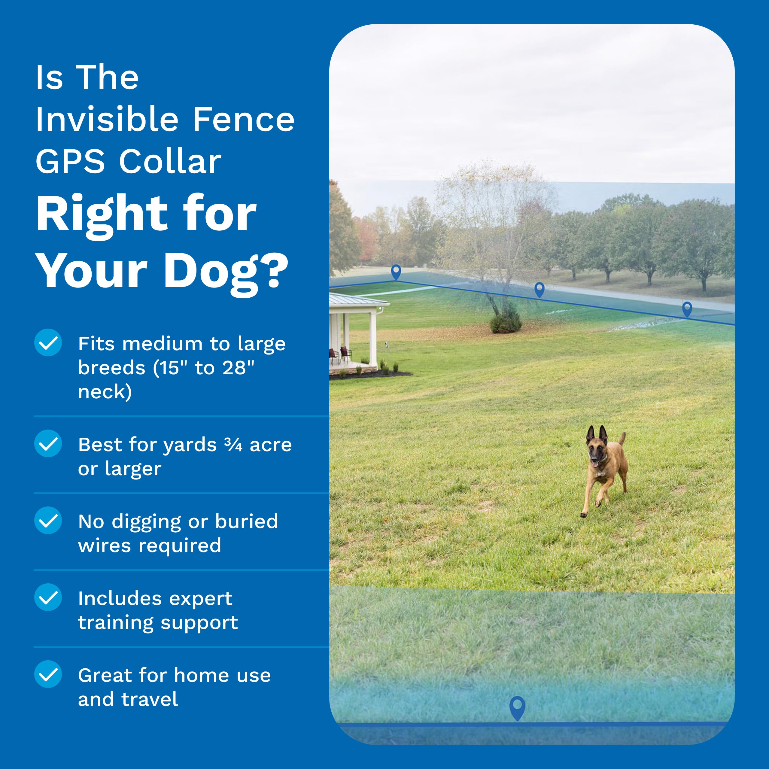 GPS Wireless Dog Fence & Tracking Collar