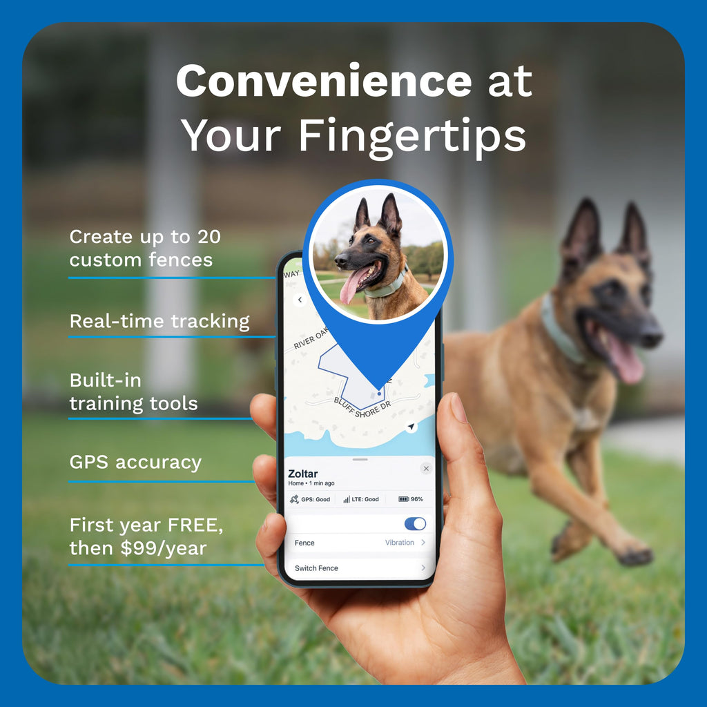 GPS Wireless Dog Fence & Tracking Collar