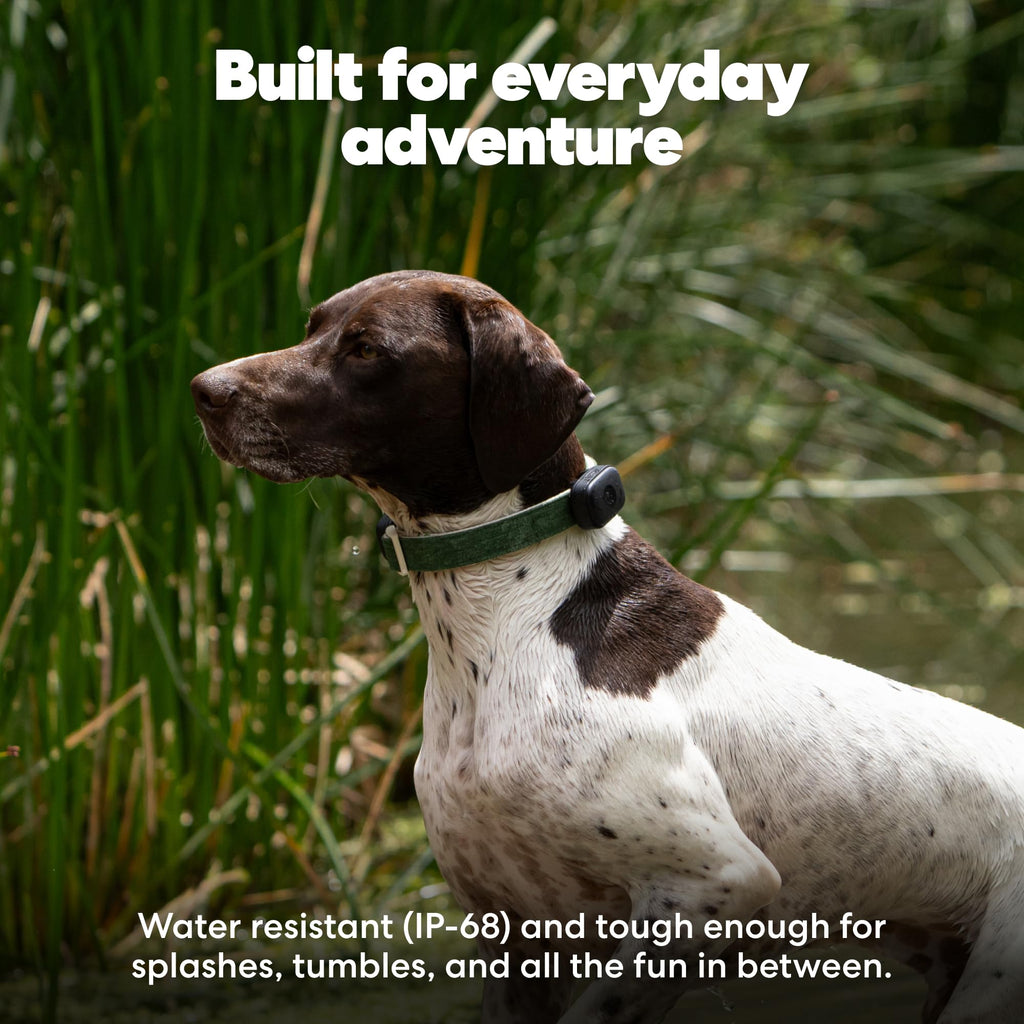 Pet GPS Tracker with Live Tracking & Escape Alerts