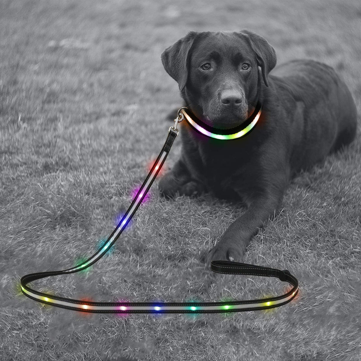 6FT LED Dog Leash & XL Rechargeable Collar Set