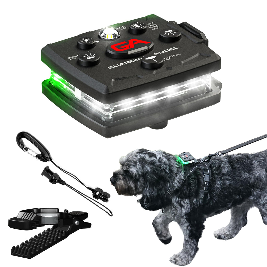 Dog Walking Safety Light Kit