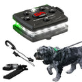 Dog Walking Safety Light Kit