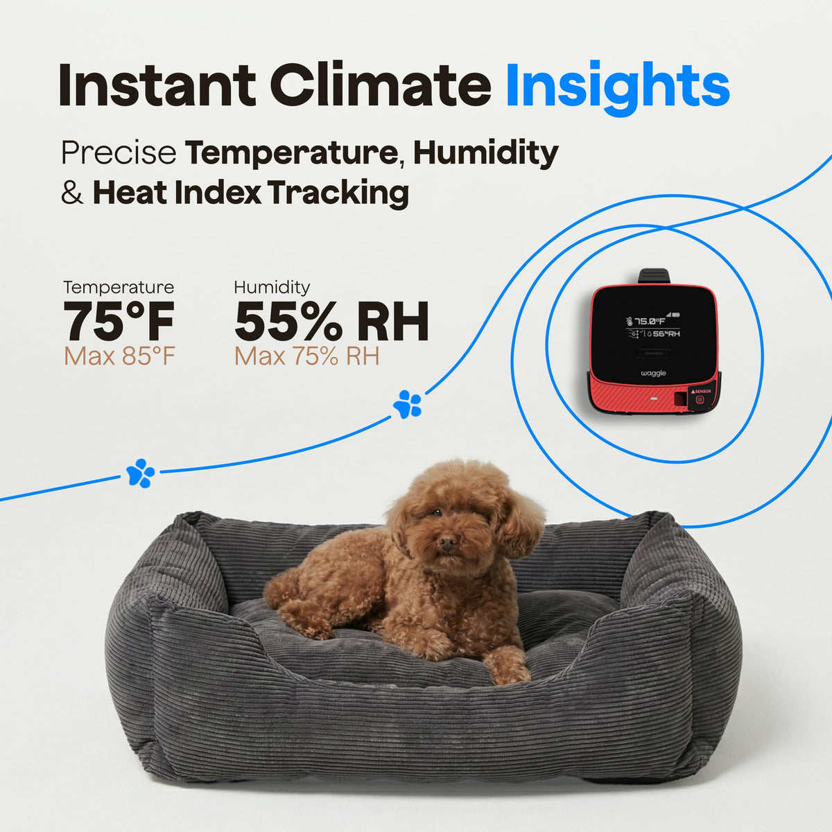 4G LTE Pet Monitor with Camera, GPS & Temperature Alerts