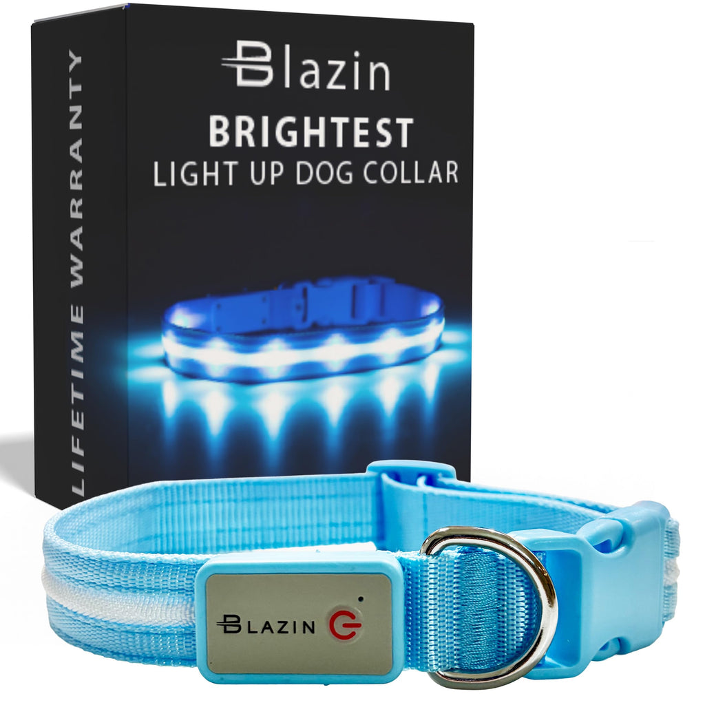 USB Rechargeable LED Light-Up Dog Collar