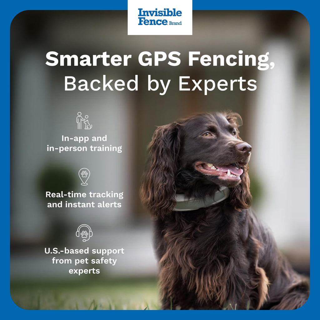 GPS Wireless Dog Fence & Tracking Collar
