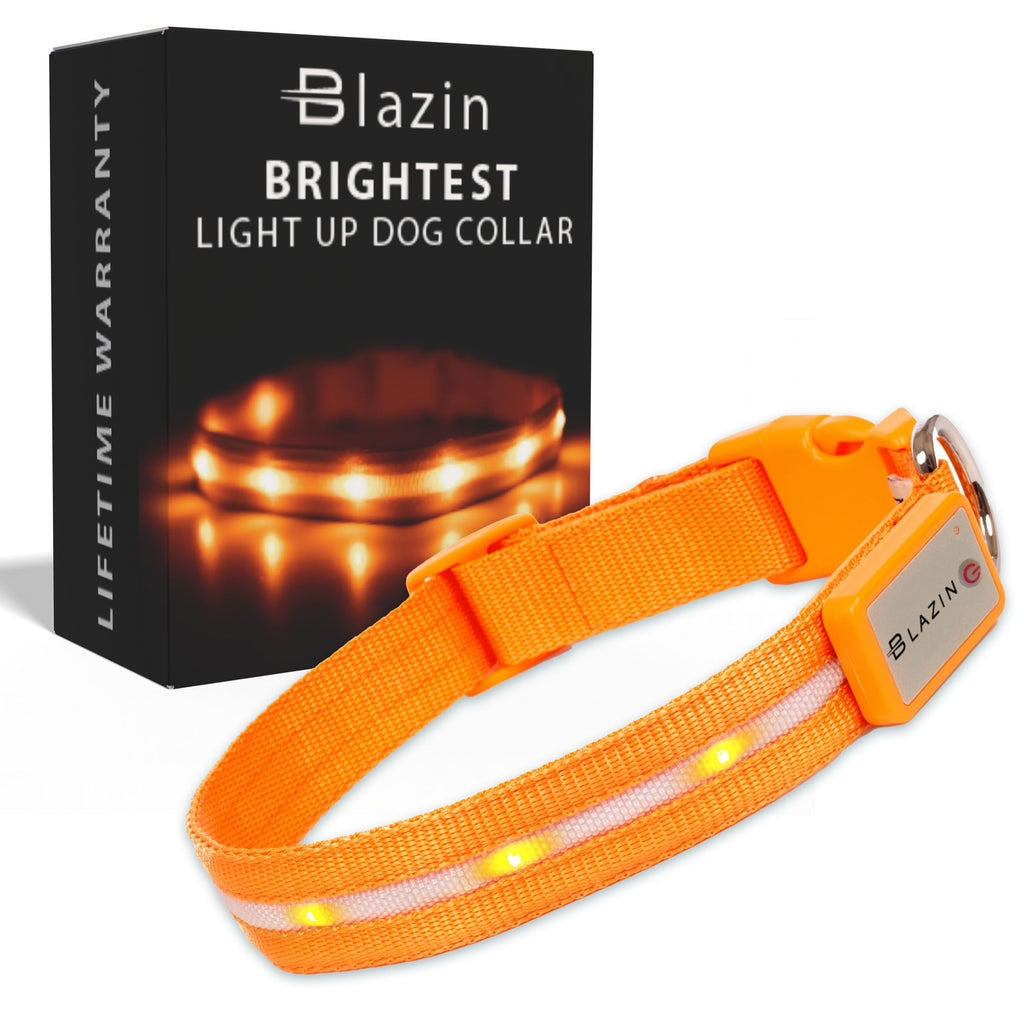 USB Rechargeable LED Light-Up Dog Collar