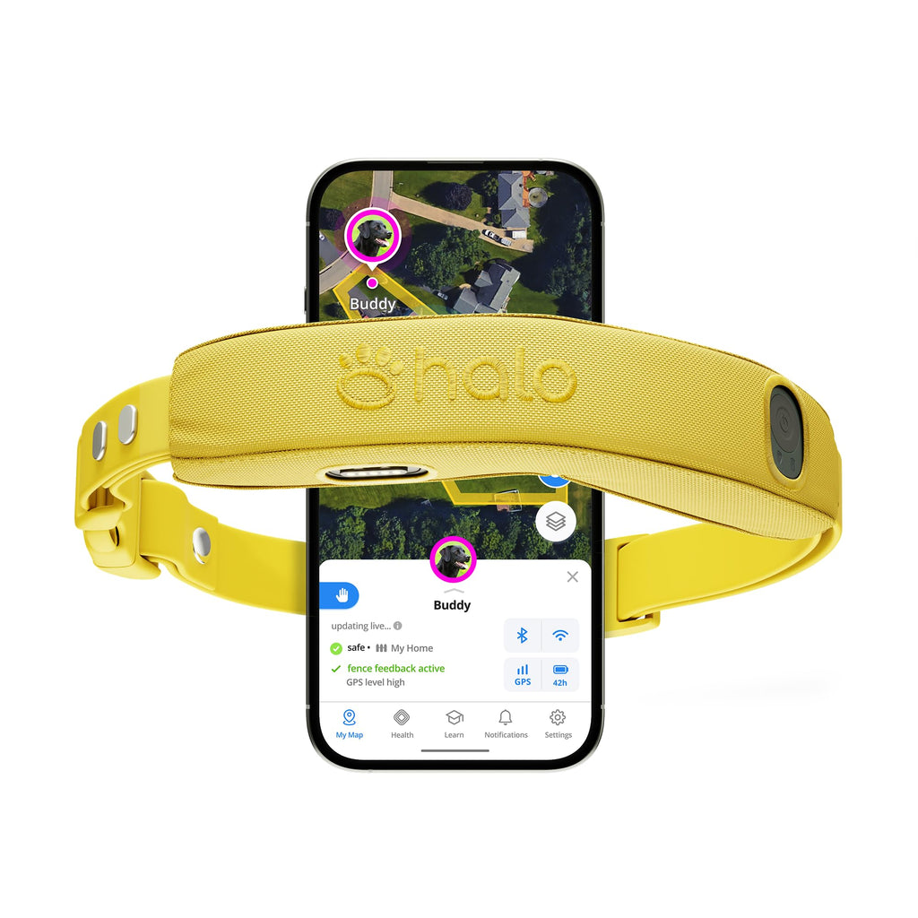 Halo Collar 5 GPS Wireless Dog Fence