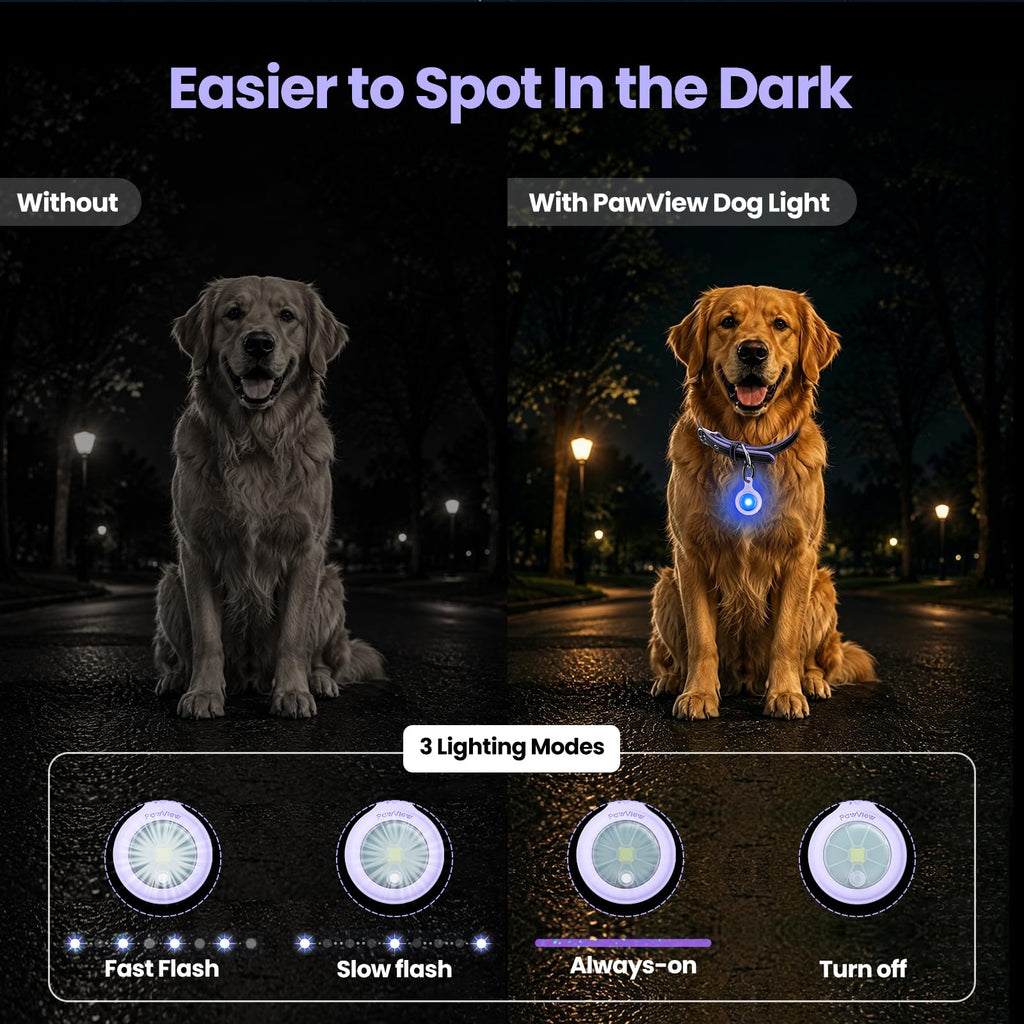 2-Pack USB-C LED Dog Safety Lights with QR Code ID