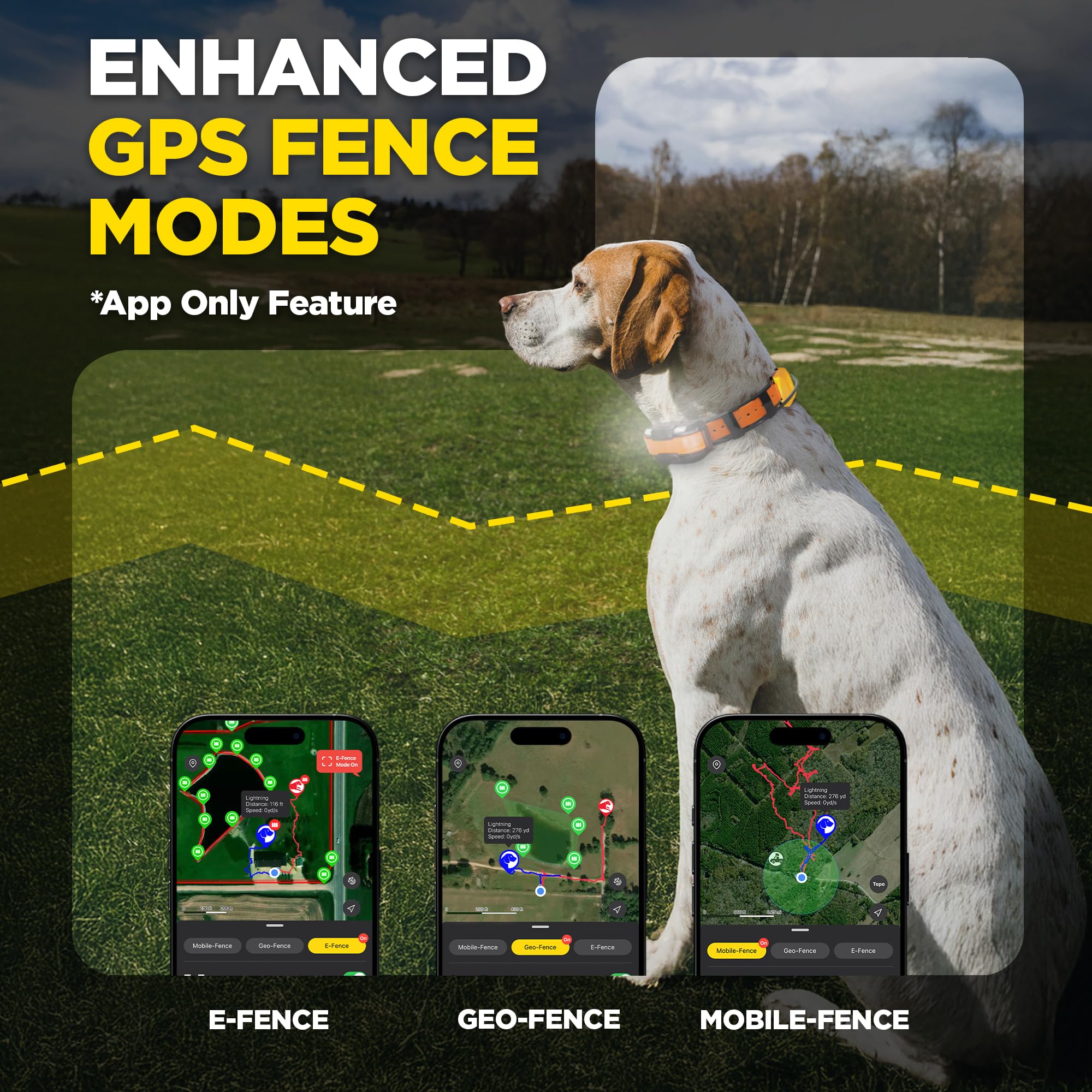 GPS Dog Tracker & Training Collar System