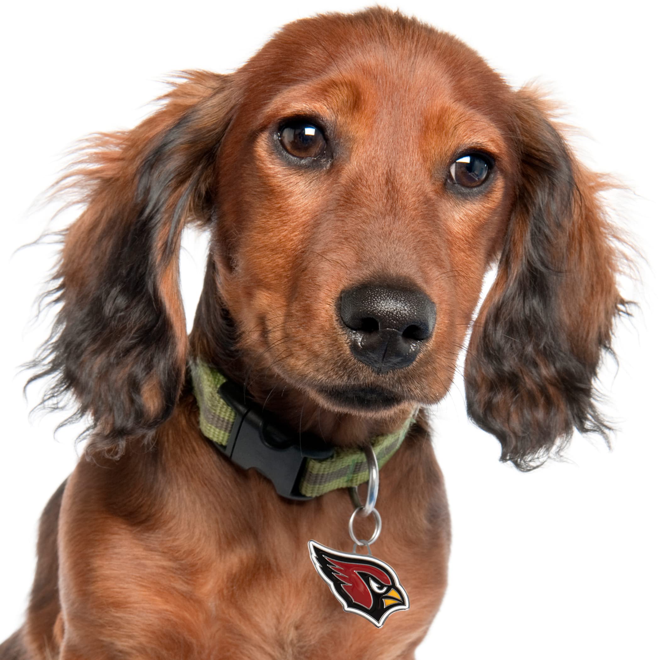 Personalized Pet ID Tag with Team Logo