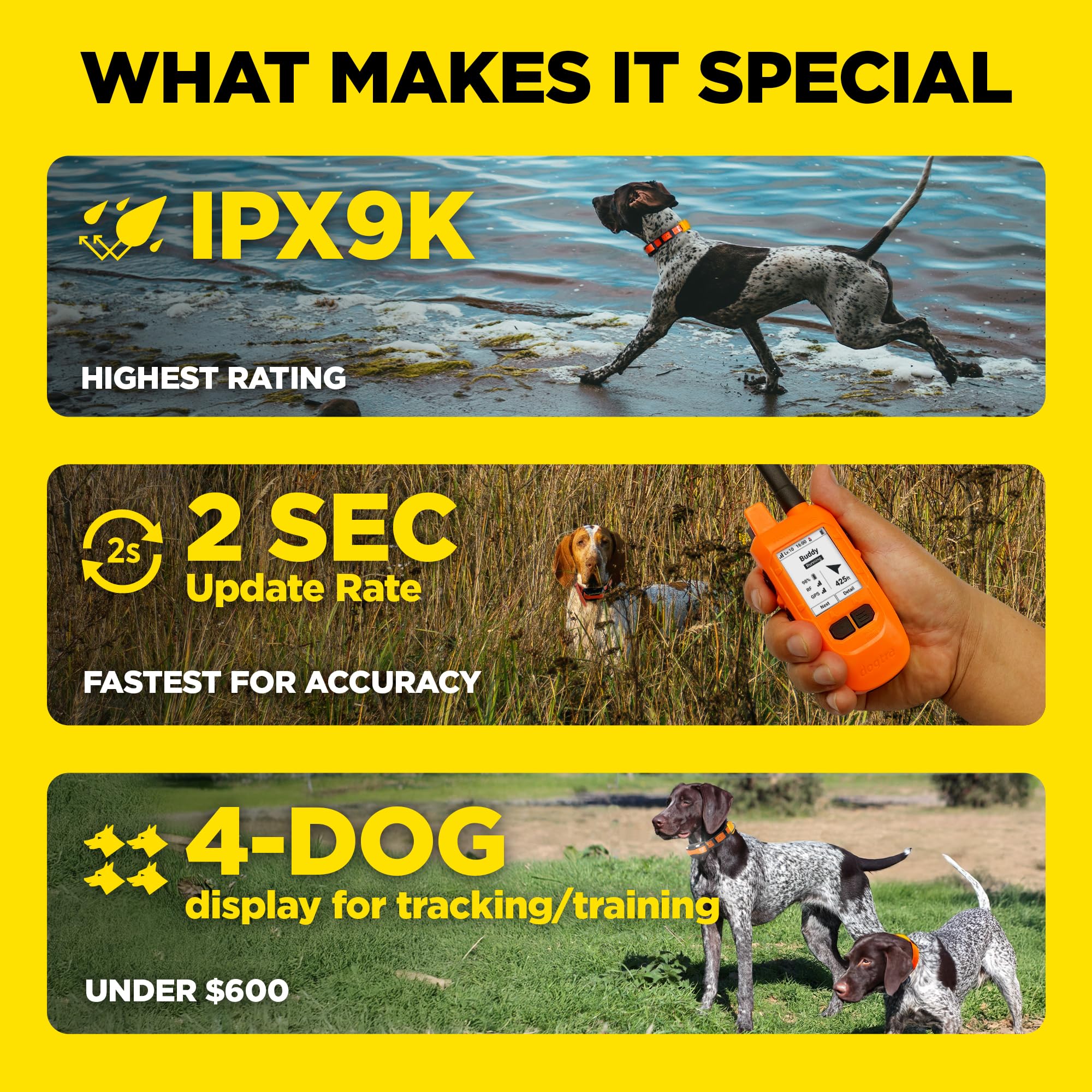 GPS Dog Tracker & Training Collar System