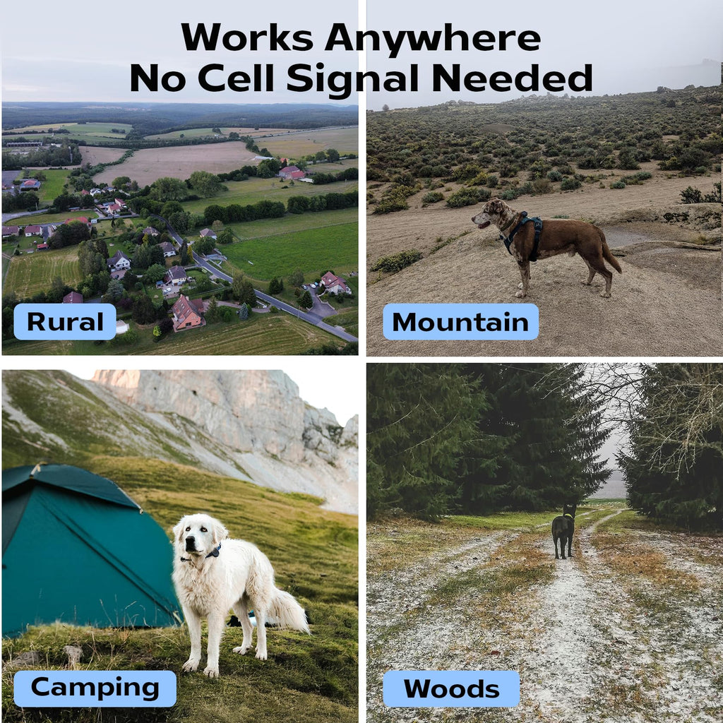 Subscription-Free GPS Dog Tracker for Off-Grid Areas