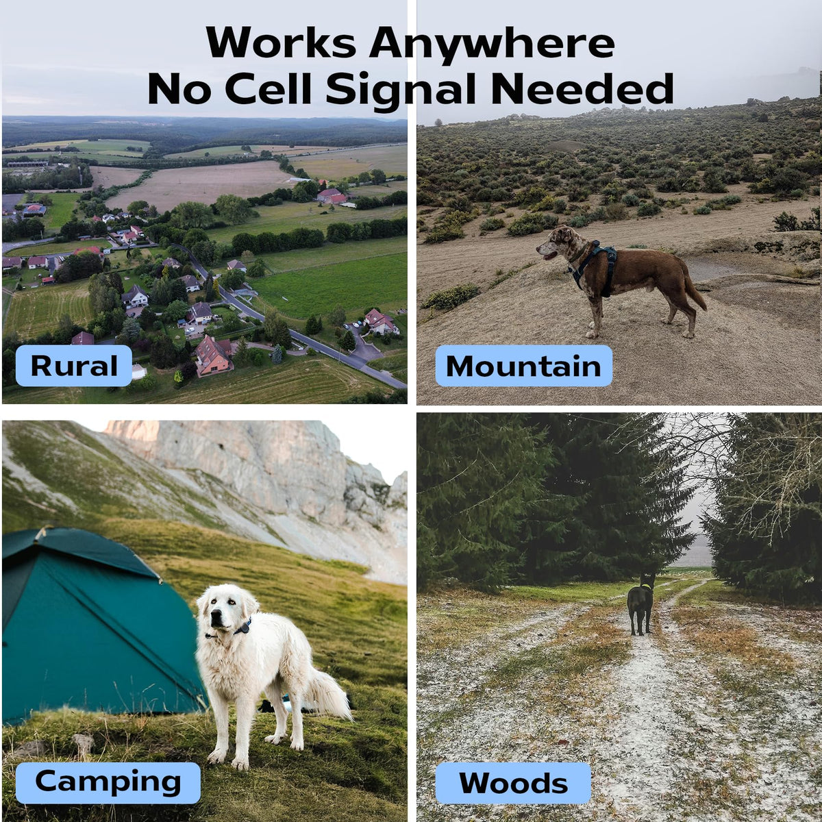 Subscription-Free GPS Dog Tracker for Off-Grid Areas