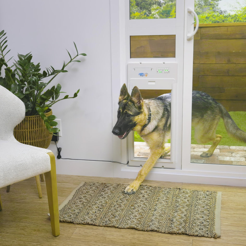 Power Pet Smart Roll Up Automatic Dog Door, WiFi