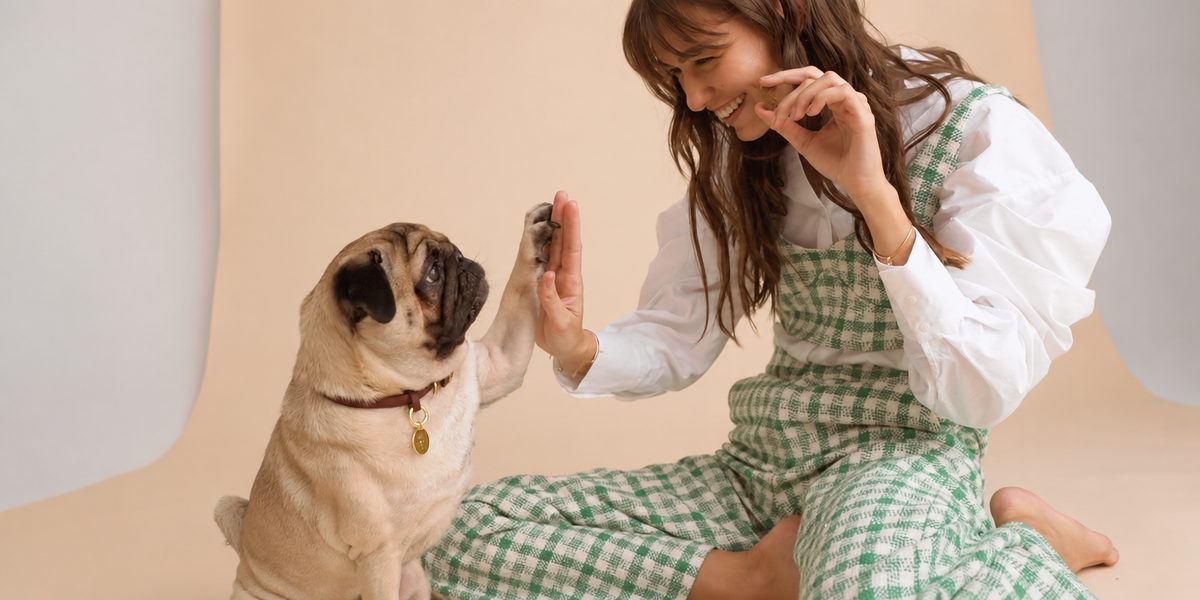 SMART CARE FOR MODERN PET LIFE
