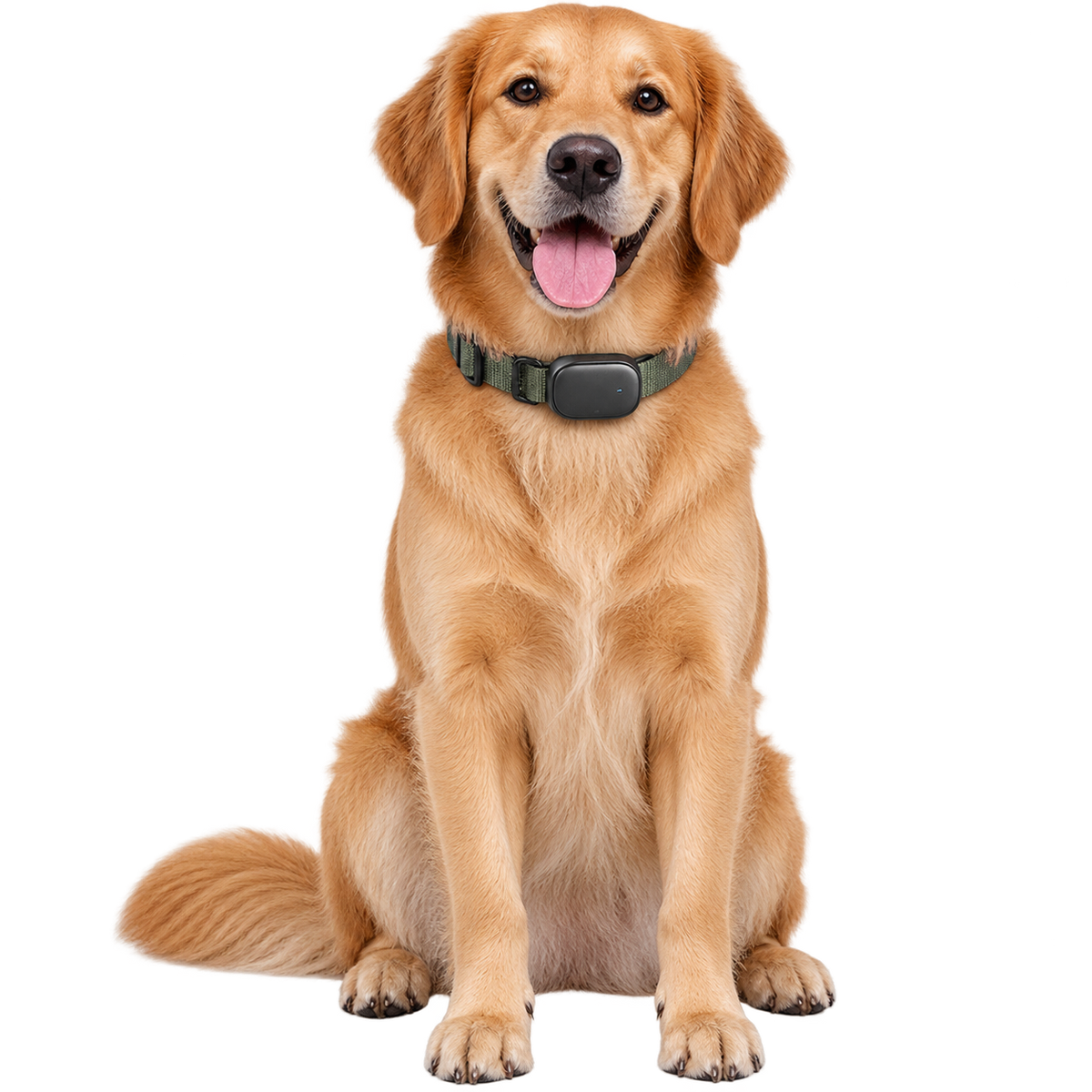 GPS PET TRACKERS