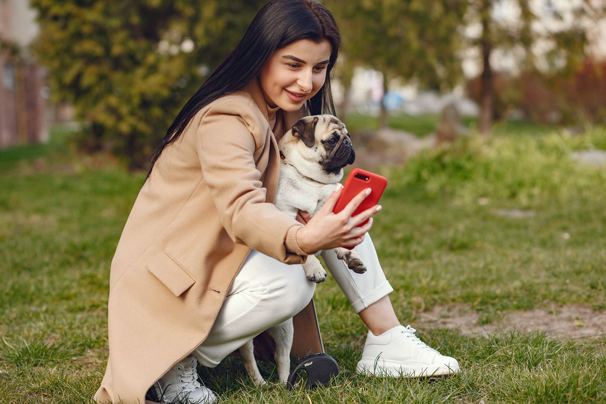 PET-CENTERED DETAILS